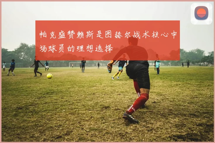 帕克盛赞赖斯是图赫尔战术核心中场球员的理想选择