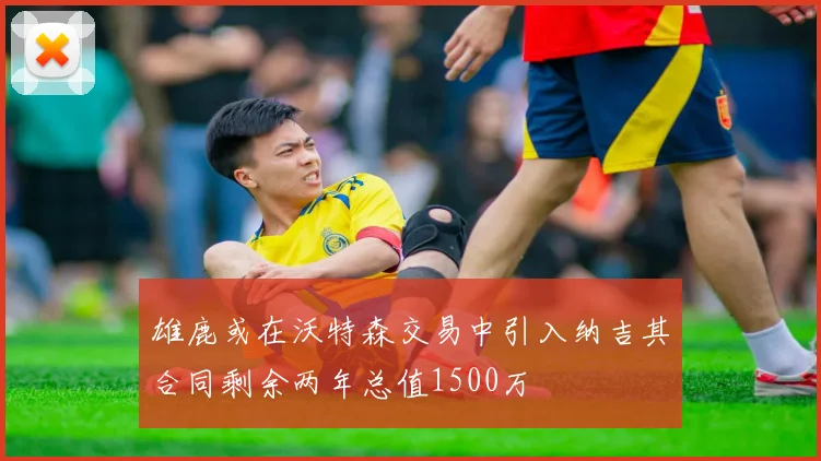 雄鹿或在沃特森交易中引入纳吉其合同剩余两年总值1500万