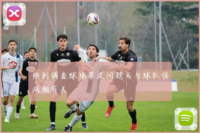 热刺调查球场草皮问题或与球队伤病潮有关